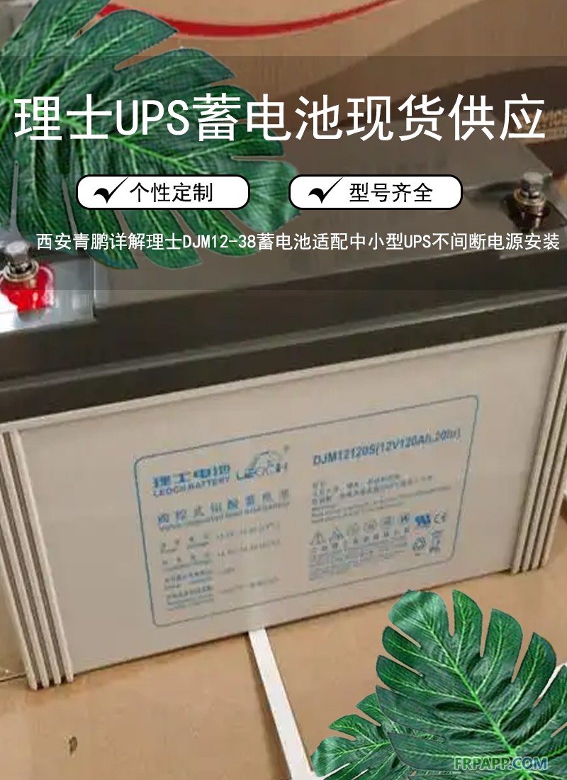 5.西安寫字樓機房UPS電源必備：理士 DJM12-65 UPS蓄電池穩定續航6