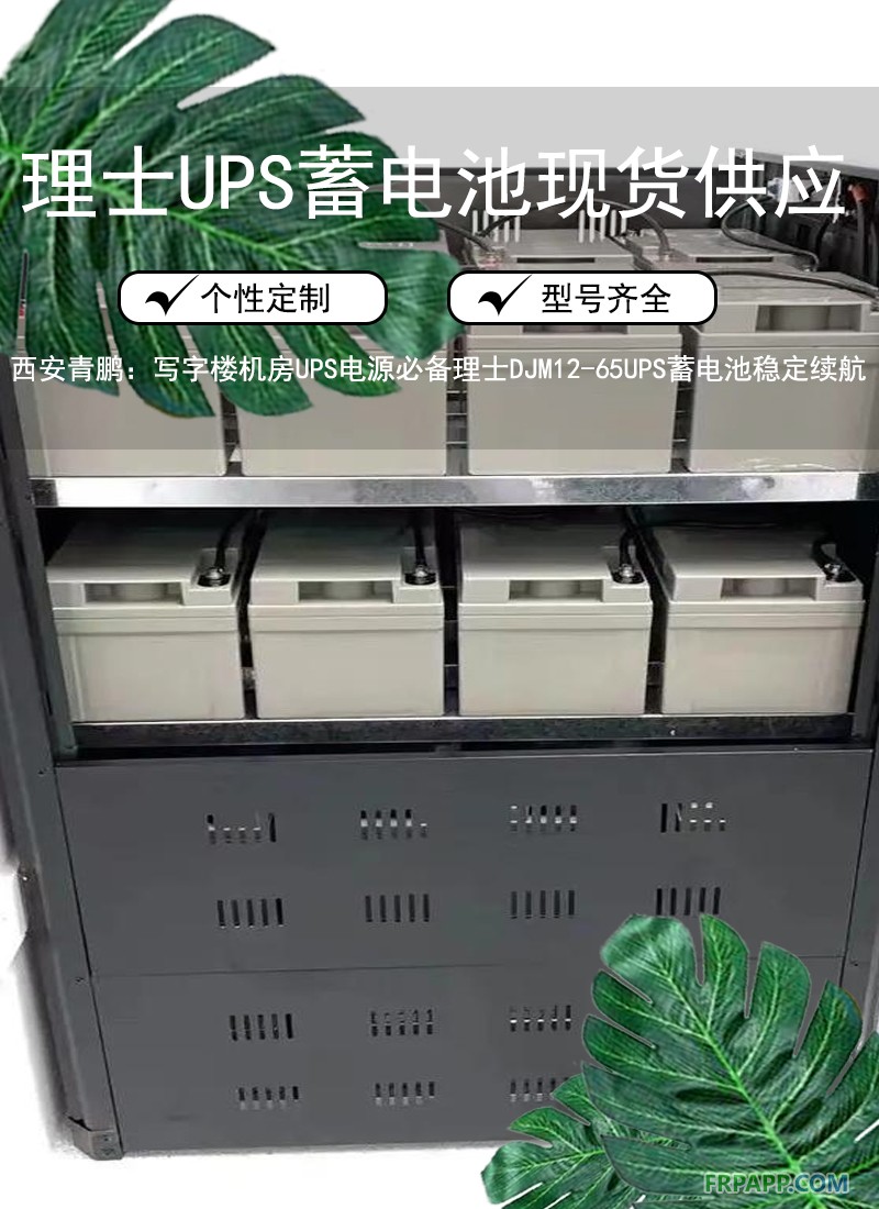 5.西安寫字樓機房UPS電源必備：理士 DJM12-65 UPS蓄電池穩定續航3