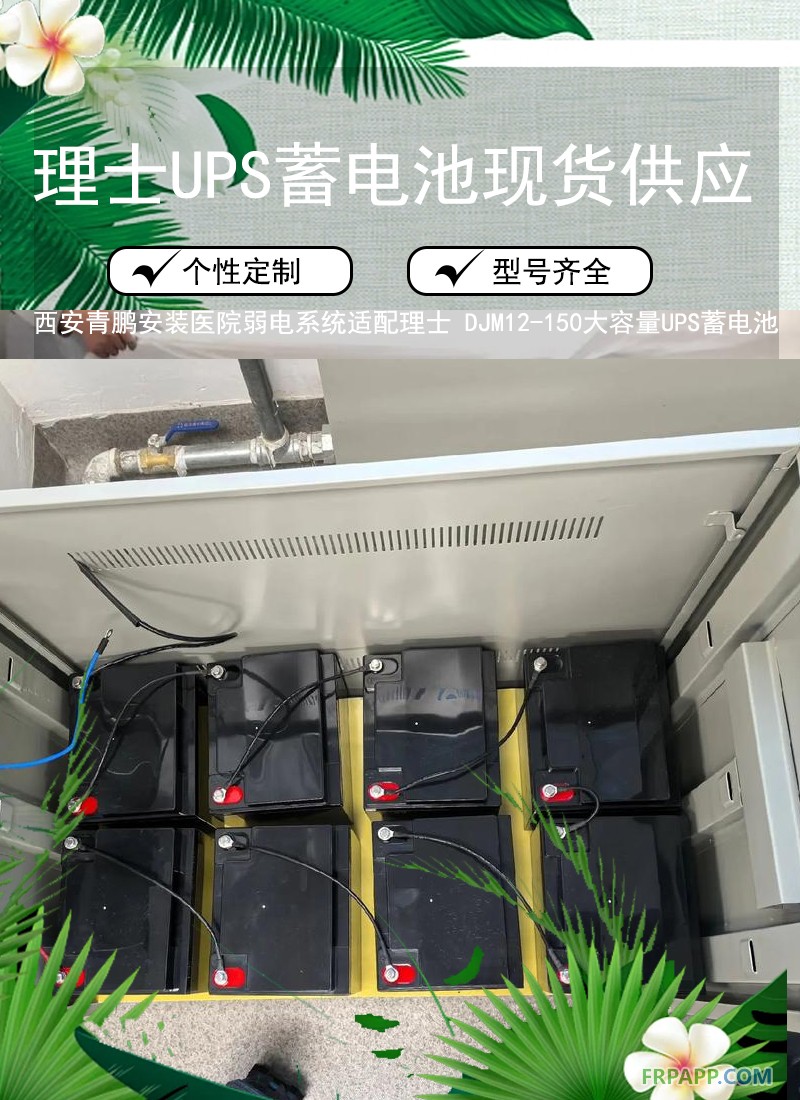 8.西安醫(yī)院弱電系統(tǒng)適配理士 DJM12-150大容量UPS蓄電池4