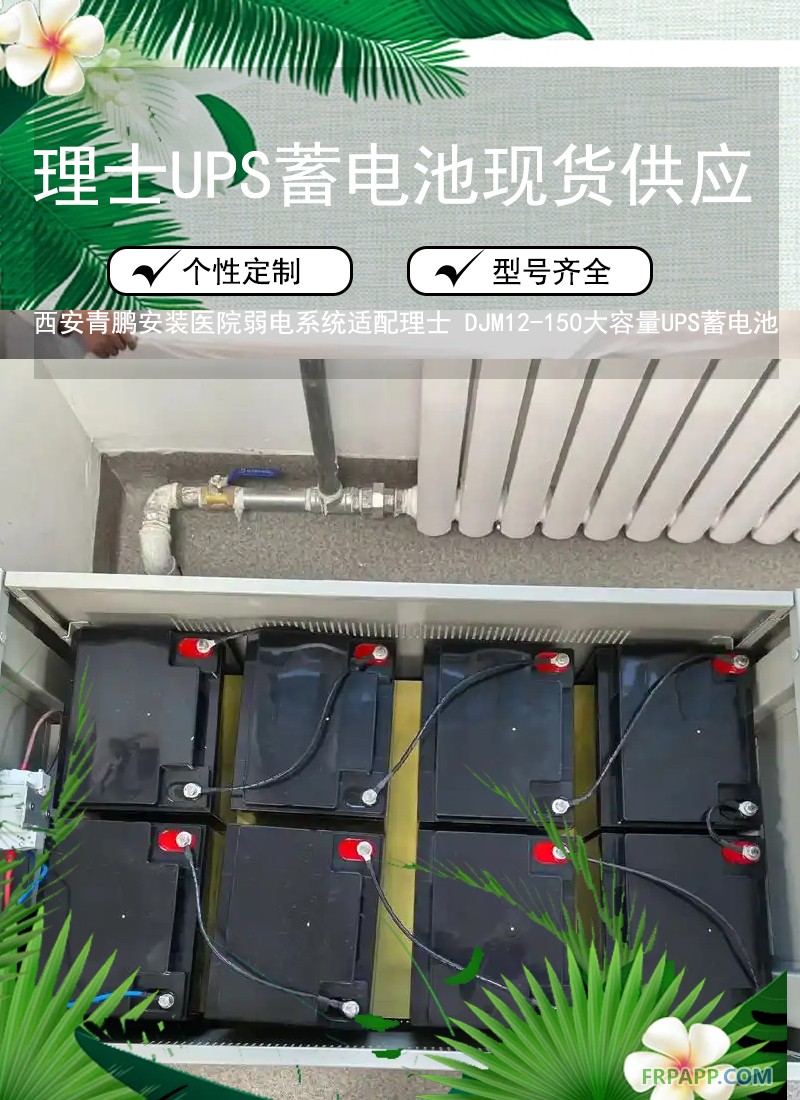 8.西安醫(yī)院弱電系統(tǒng)適配理士 DJM12-150大容量UPS蓄電池3