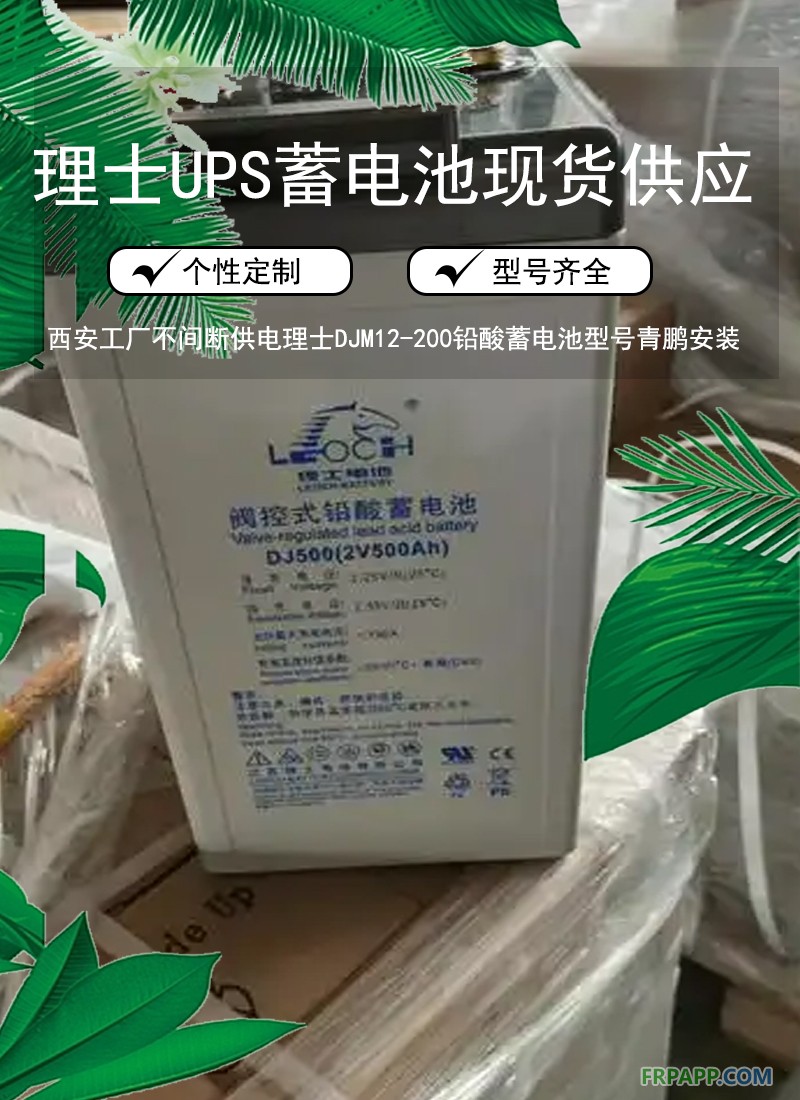 10.西安2V大容量系列理士DJM2V100蓄電池UPS配套方案11