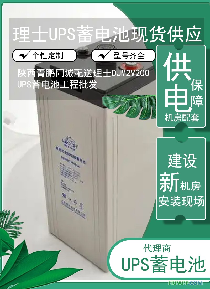 11.陜西同城配送理士DJM2V200 UPS蓄電池工程批發5