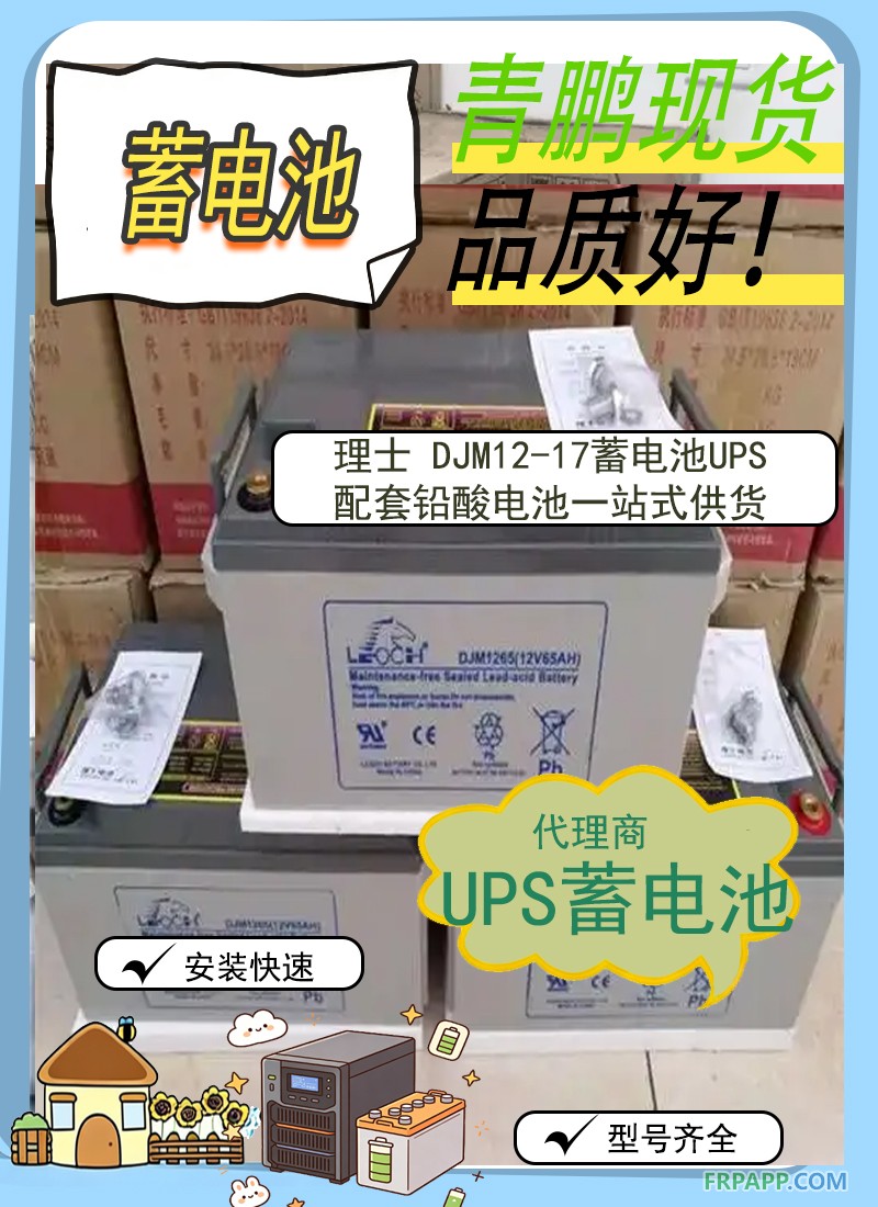 17.理士 DJM12-17 蓄電池｜UPS 配套鉛酸電池 陜西供貨2