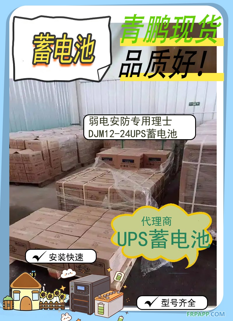 18.弱電安防專用理士DJM12-24UPS蓄電池劉元代理2