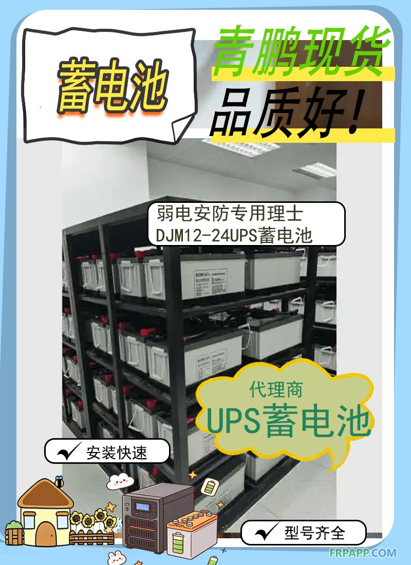 18.弱電安防專用理士DJM12-24UPS蓄電池劉元代理6