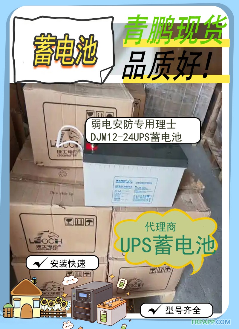 18.弱電安防專用理士DJM12-24UPS蓄電池劉元代理5