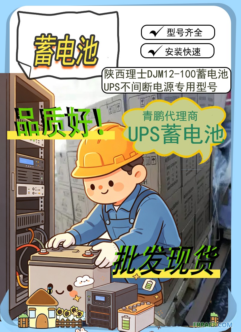 21.陜西理士DJM12-100蓄電池UPS不間斷電源專(zhuān)用型號(hào)3