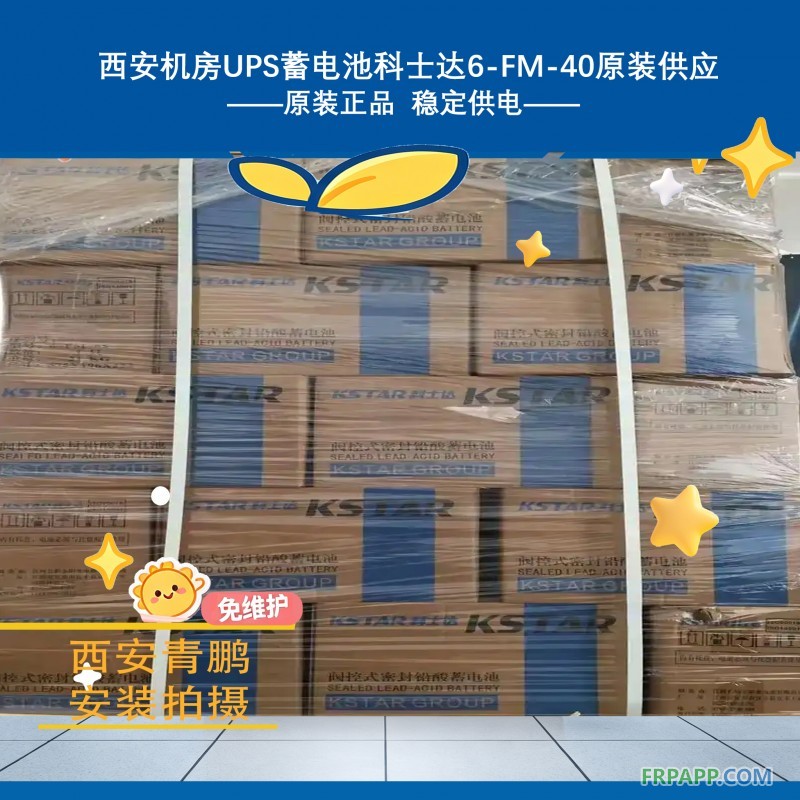 11西安機房UPS蓄電池科士達6-FM-40原裝供應8
